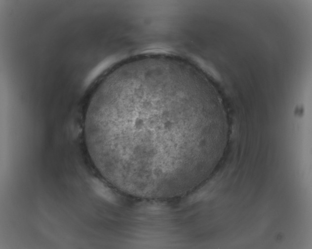 X0000092331400200709281417