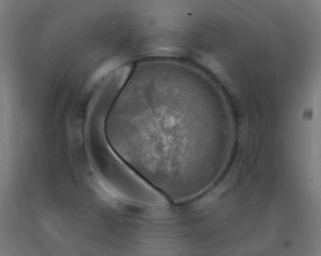 X0000092331402200709281417