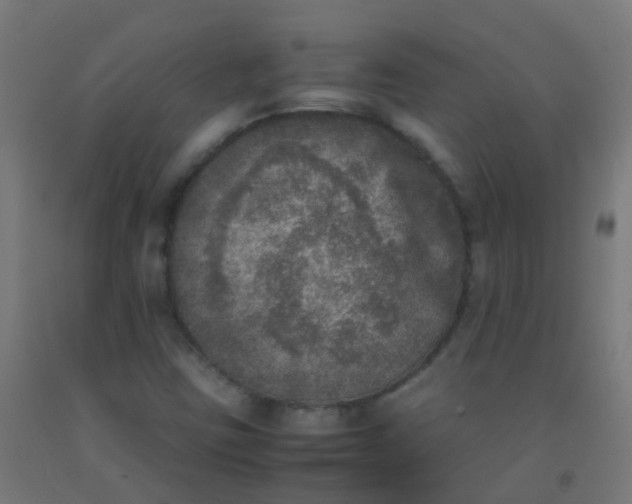 X0000092331403200709281417