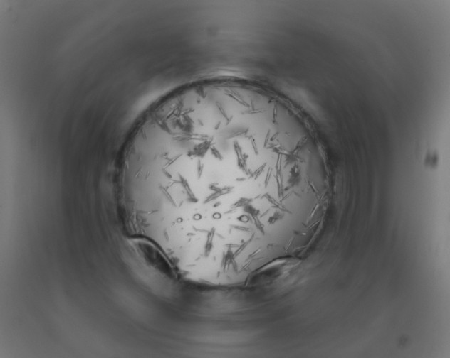 X0000092331404200709281417