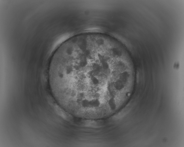 X0000092331405200709281417
