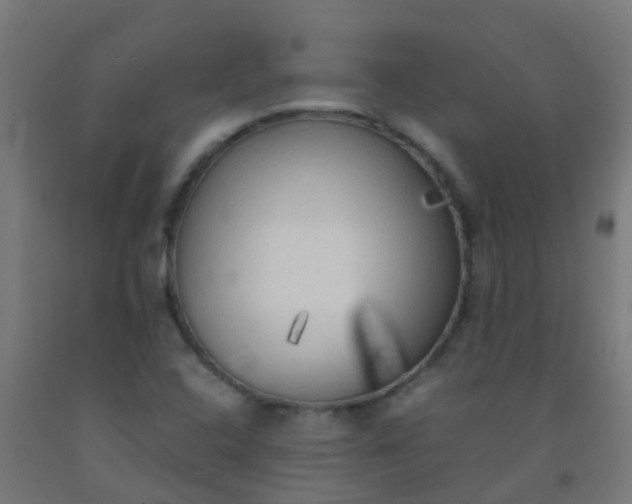 X0000092331408200709281417