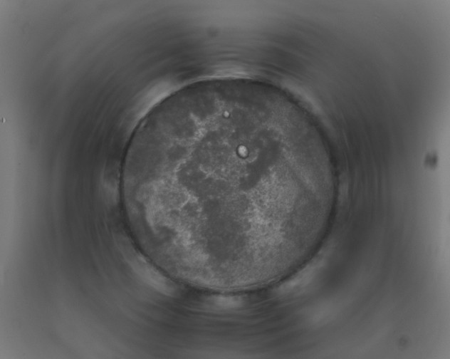 X0000092331409200709281417
