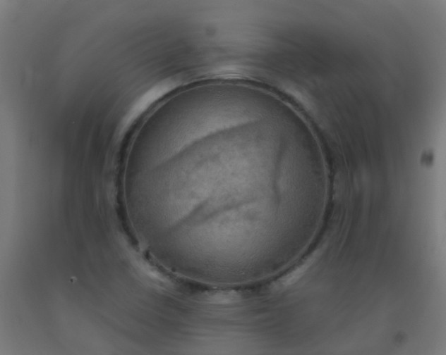 X0000092331410200709281417