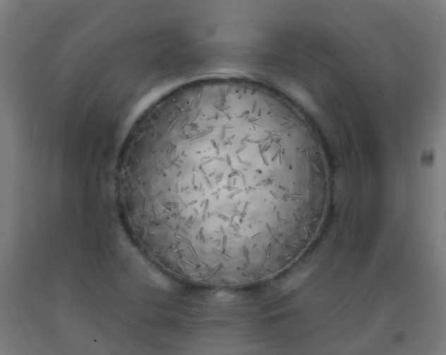 X0000092331412200709281417