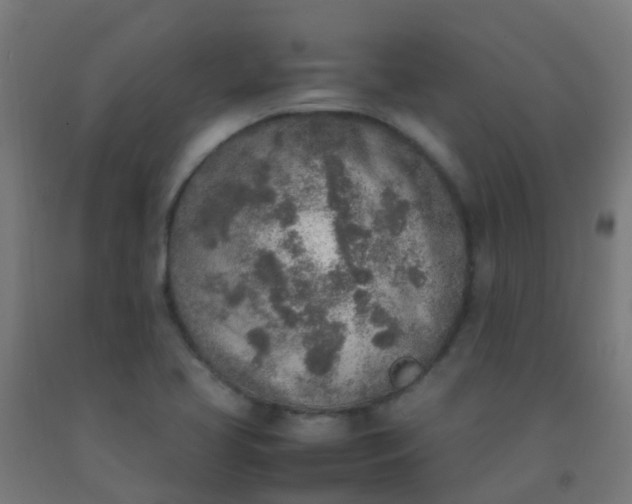 X0000092331413200709281417