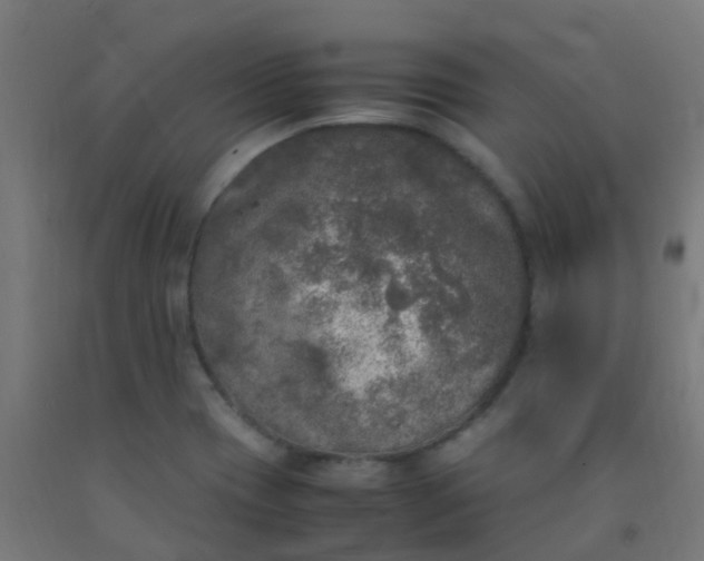 X0000092331417200709281417