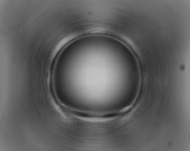 X0000092331418200709281417