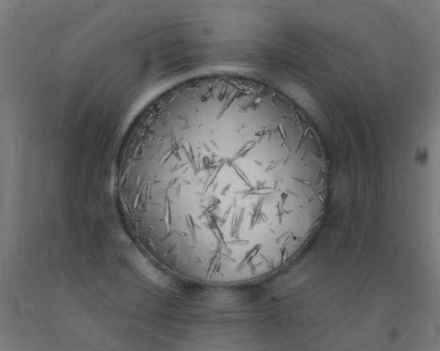 X0000092331420200709281417