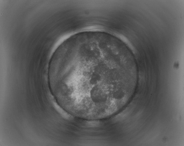 X0000092331421200709281417