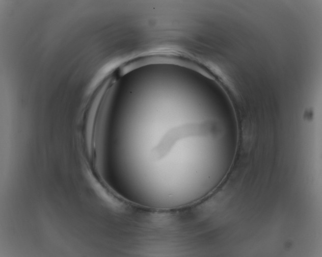 X0000092331422200709281417