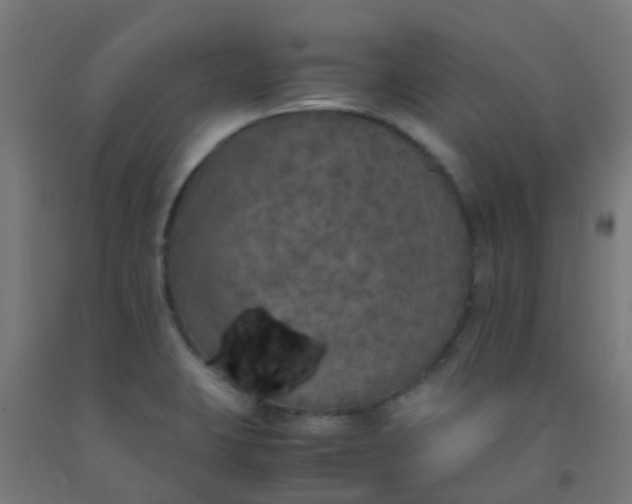 X0000092331423200709281417