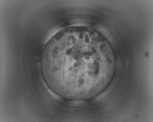 X0000092331425200709281417