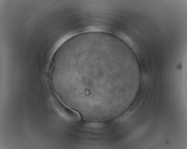 X0000092331427200709281417