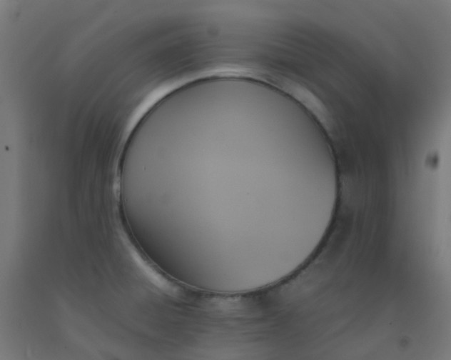X0000092331428200709281417