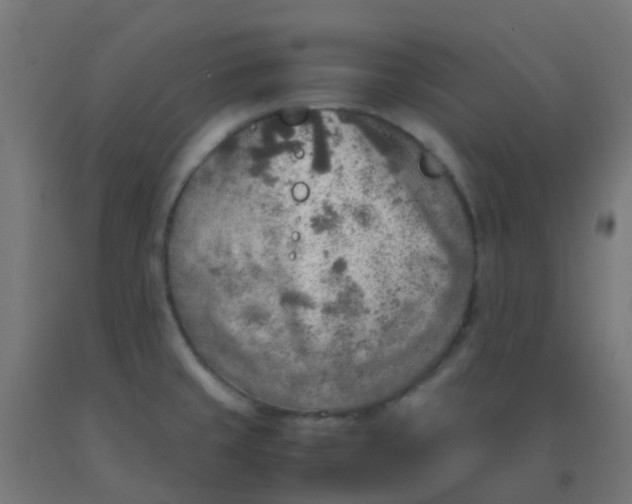 X0000092331429200709281417