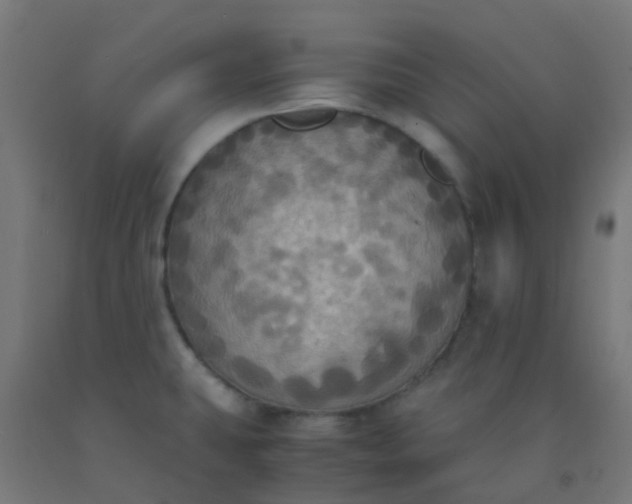 X0000092331431200709281417