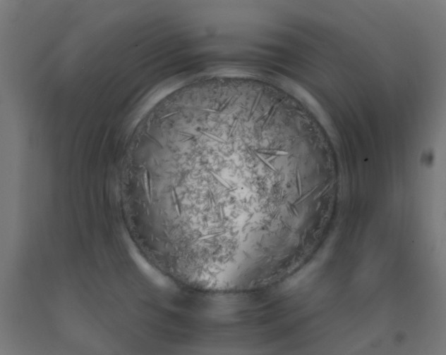 X0000092331433200709281417