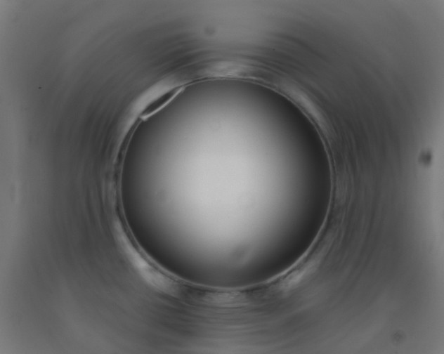 X0000092331434200709281417