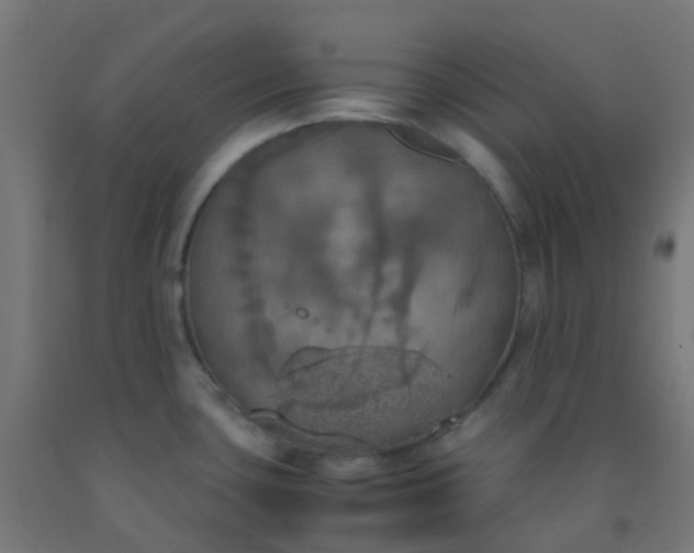 X0000092331435200709281417