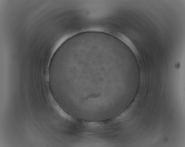 X0000092331436200709281417
