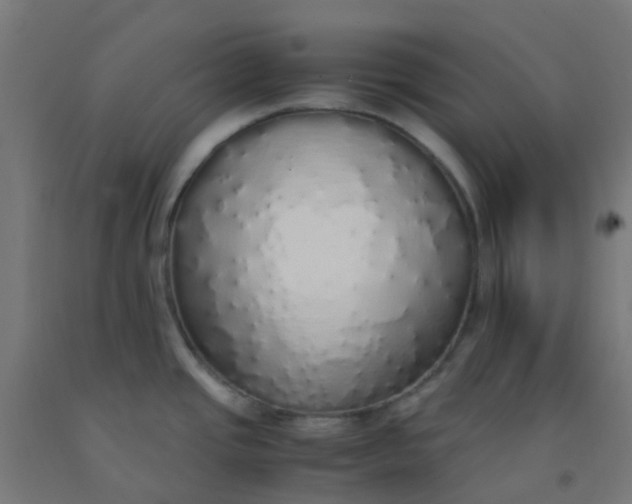X0000092331437200709281417