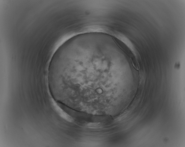 X0000092331439200709281417