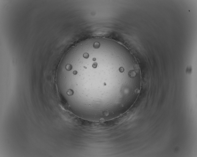 X0000092331441200709281417