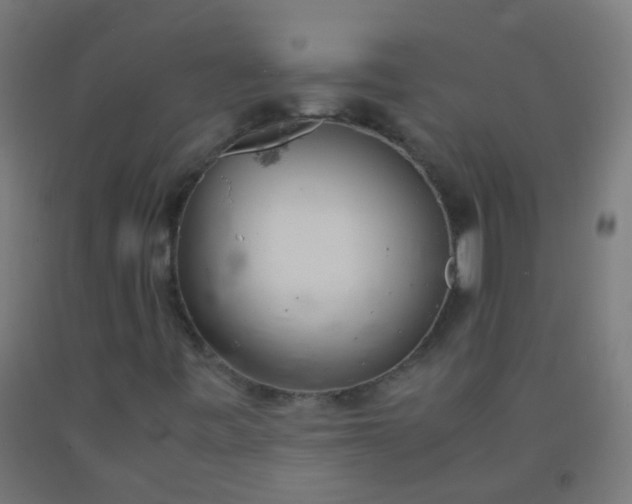 X0000092331443200709281417