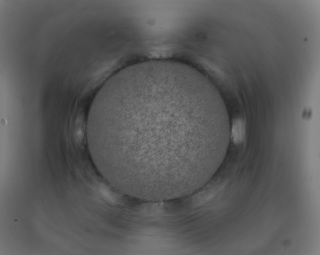 X0000092331444200709281417