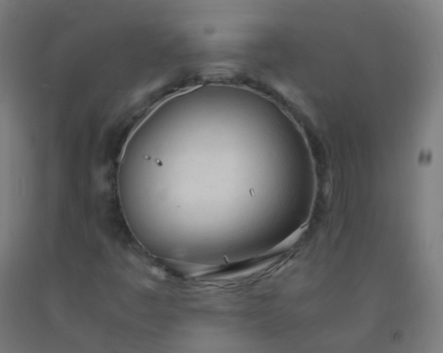 X0000092331445200709281417