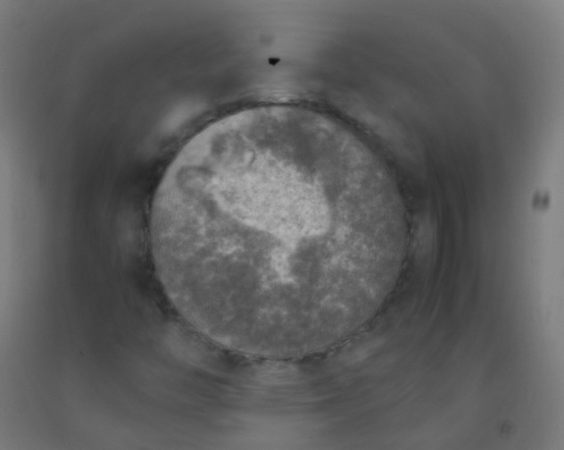 X0000092331446200709281417