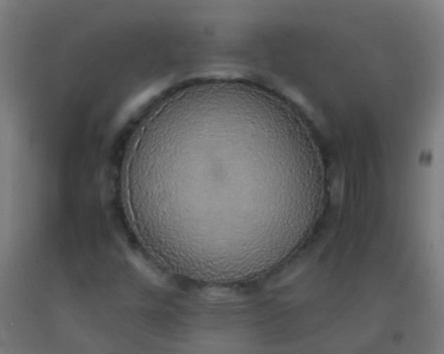 X0000092331448200709281417