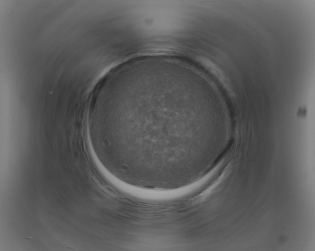 X0000092331449200709281417