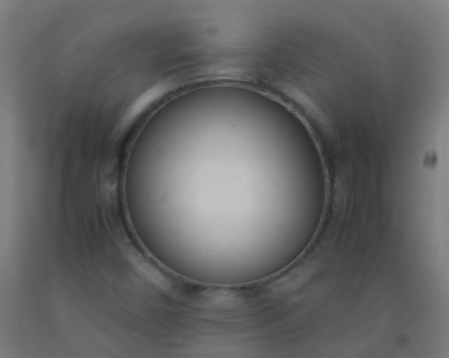 X0000092331450200709281417