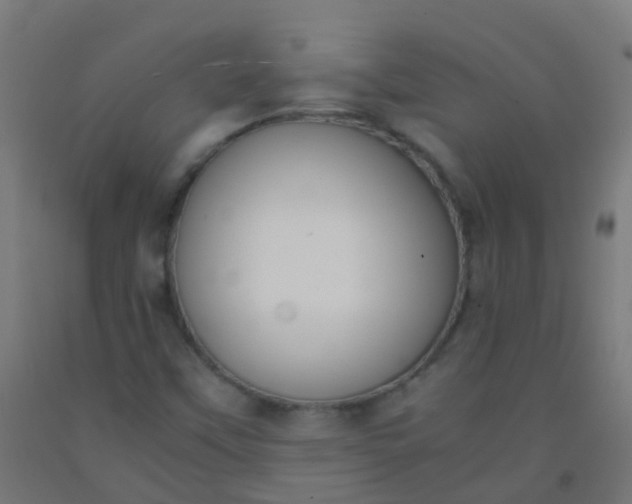 X0000092331451200709281417