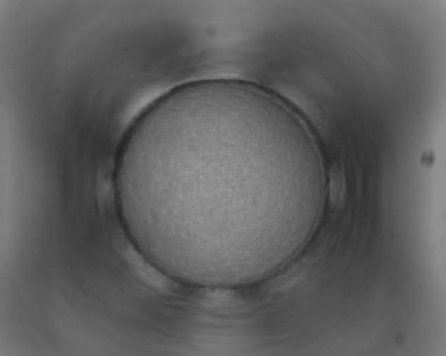 X0000092331452200709281417