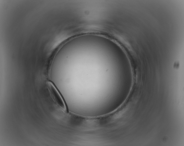 X0000092331453200709281417