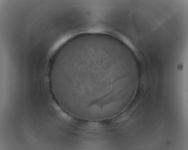 X0000092331456200709281417
