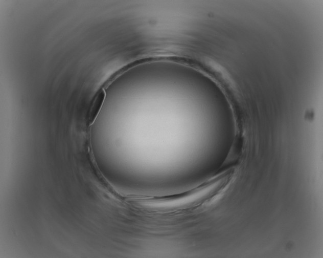 X0000092331457200709281417