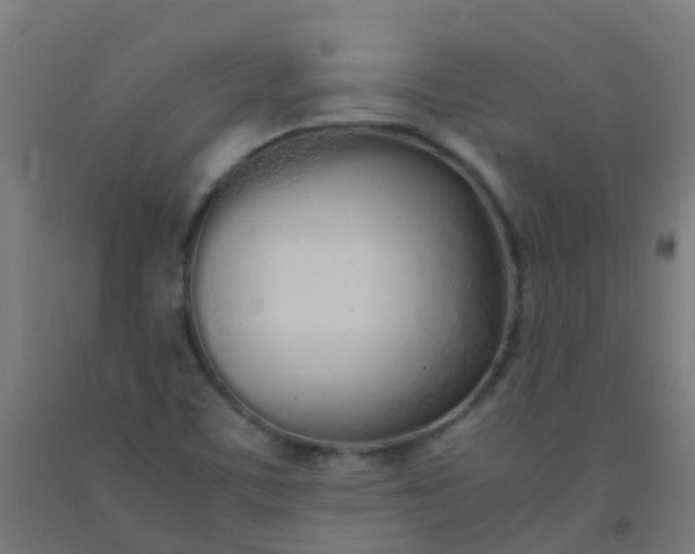 X0000092331459200709281417