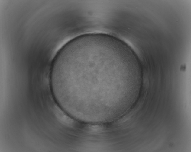X0000092331460200709281417