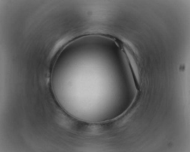 X0000092331461200709281416