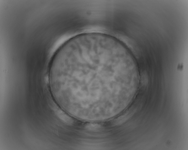 X0000092331462200709281416