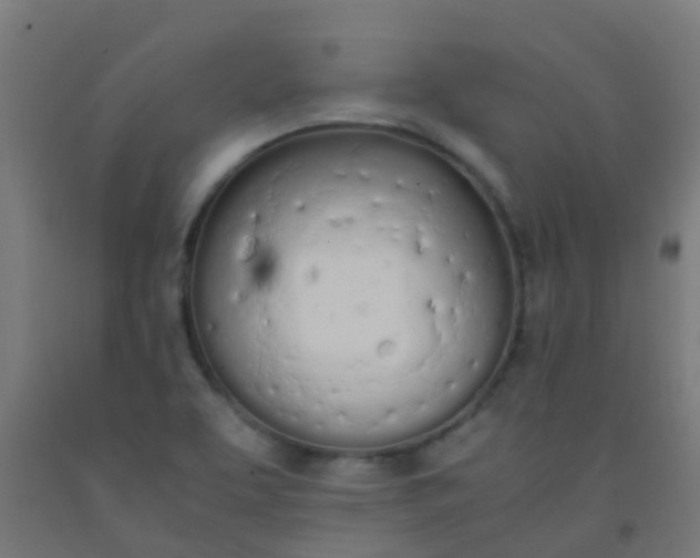 X0000092331463200709281416
