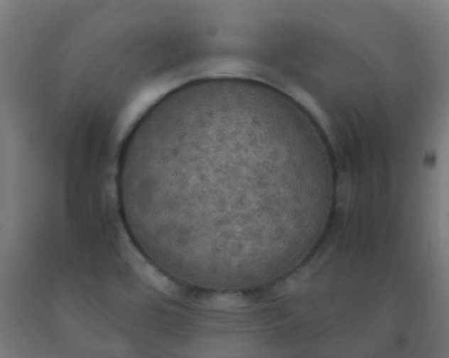 X0000092331464200709281416