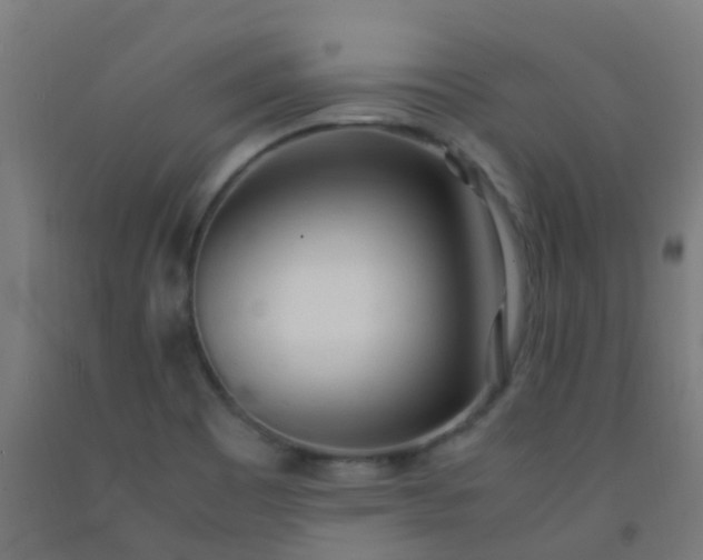 X0000092331465200709281416