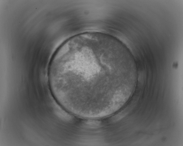 X0000092331466200709281416