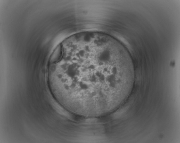 X0000092331467200709281416