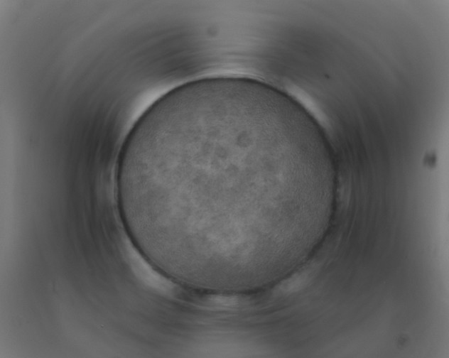X0000092331468200709281416